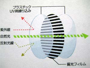 偏光レンズの仕組み